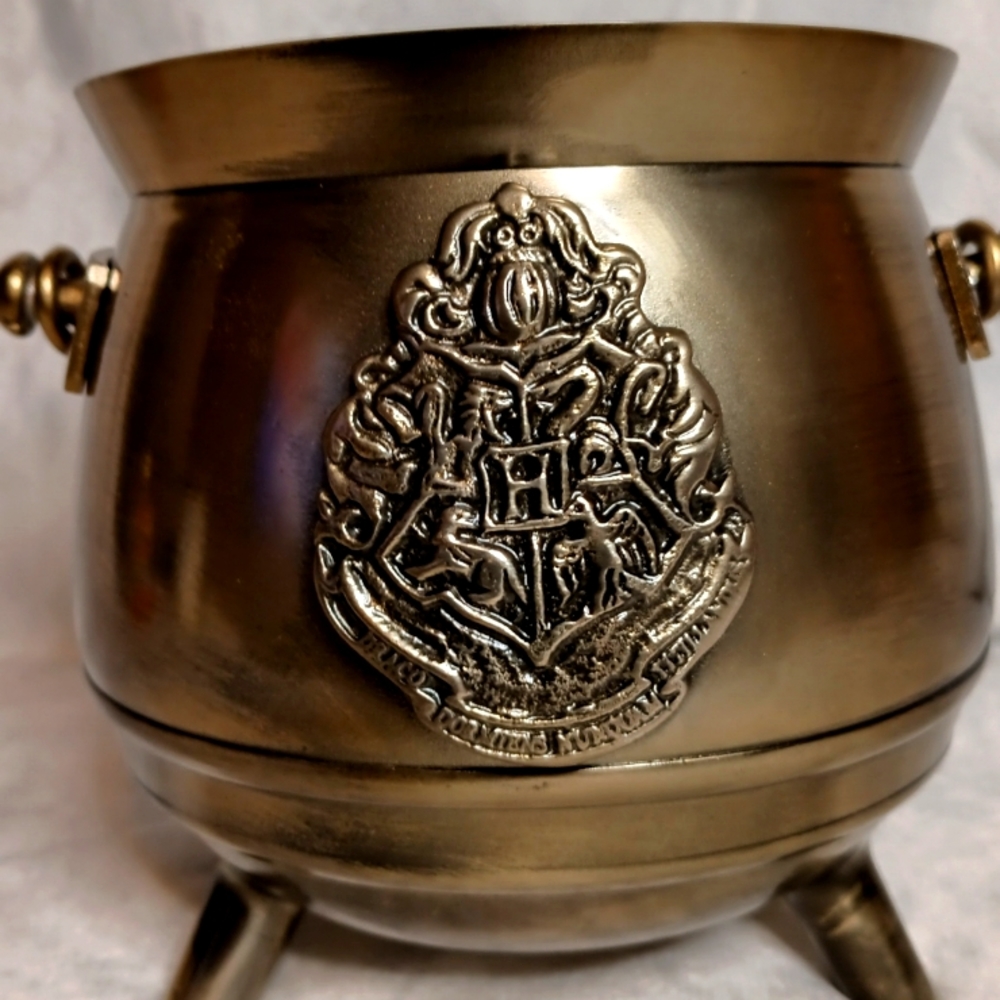 Harry Potter Cauldron Planter